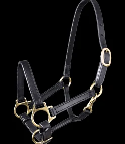 STAR Leder Fohlenhalfter