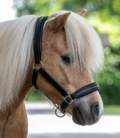 STAR Lederhalfter Diamond