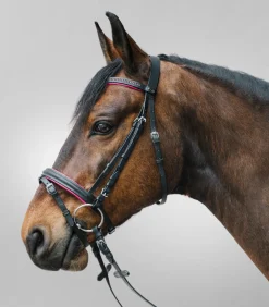 STAR Trensenzaum Diamond