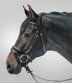 STAR Trensenzaum Lifestyle