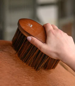 Staubbürste HardWood