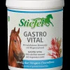 Stiefel Gastro Vital 1kg