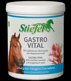 Stiefel Gastro Vital 1kg