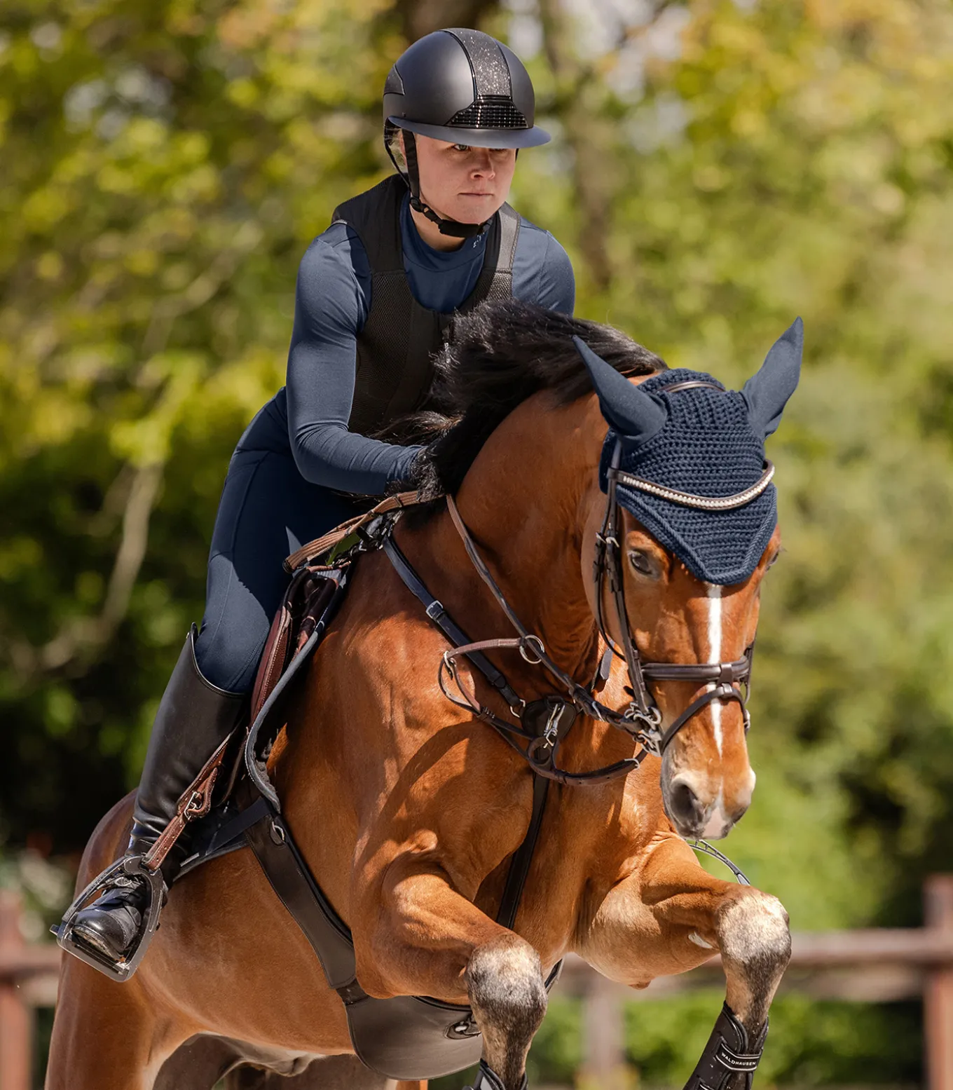 SWING Rückenprotektor P24 Pro, Erwachsene