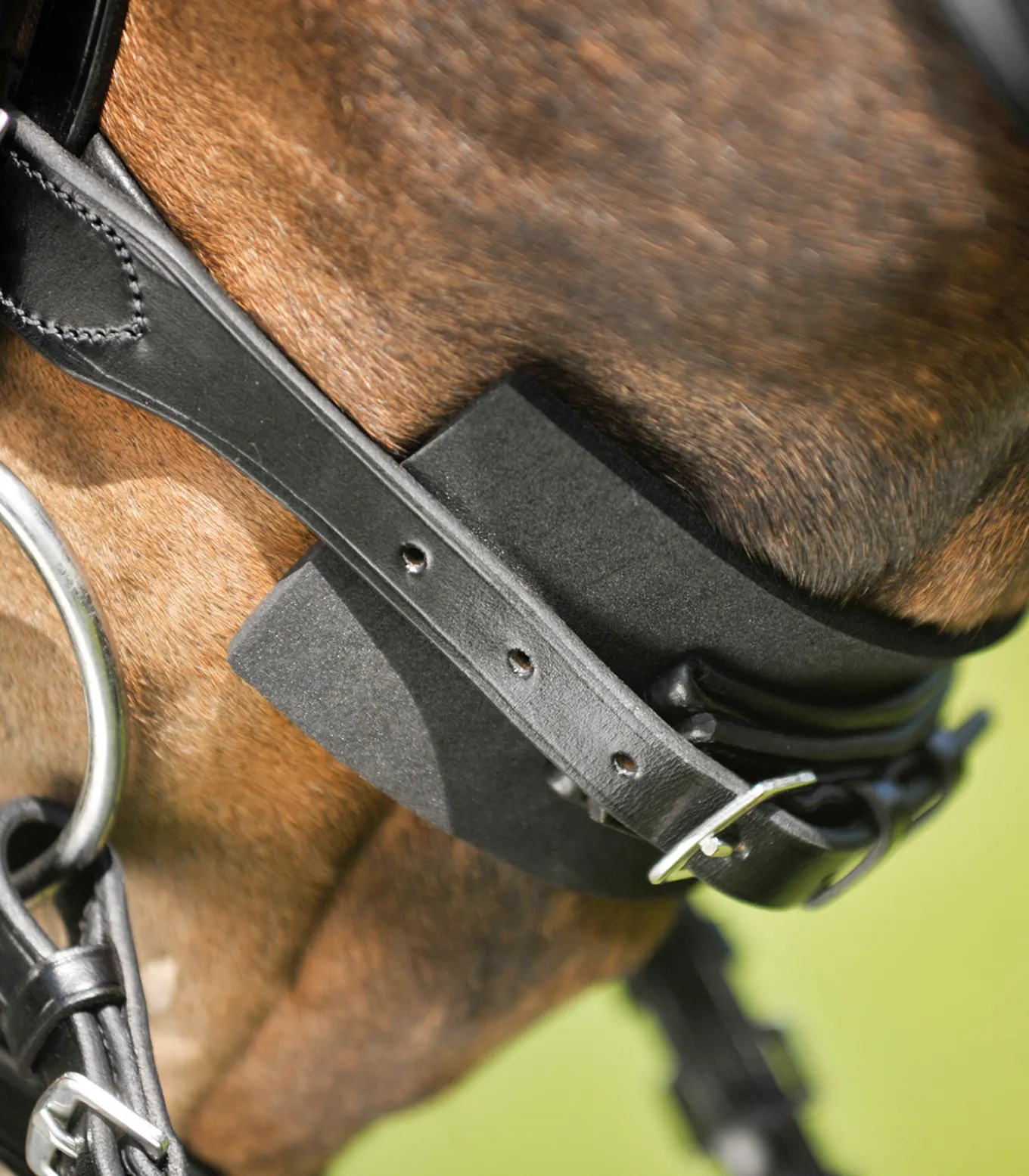 Trensenzaum Unterlegpolster