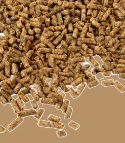 Vitamin E - Für Leistung & Belastbarkeit, 1kg