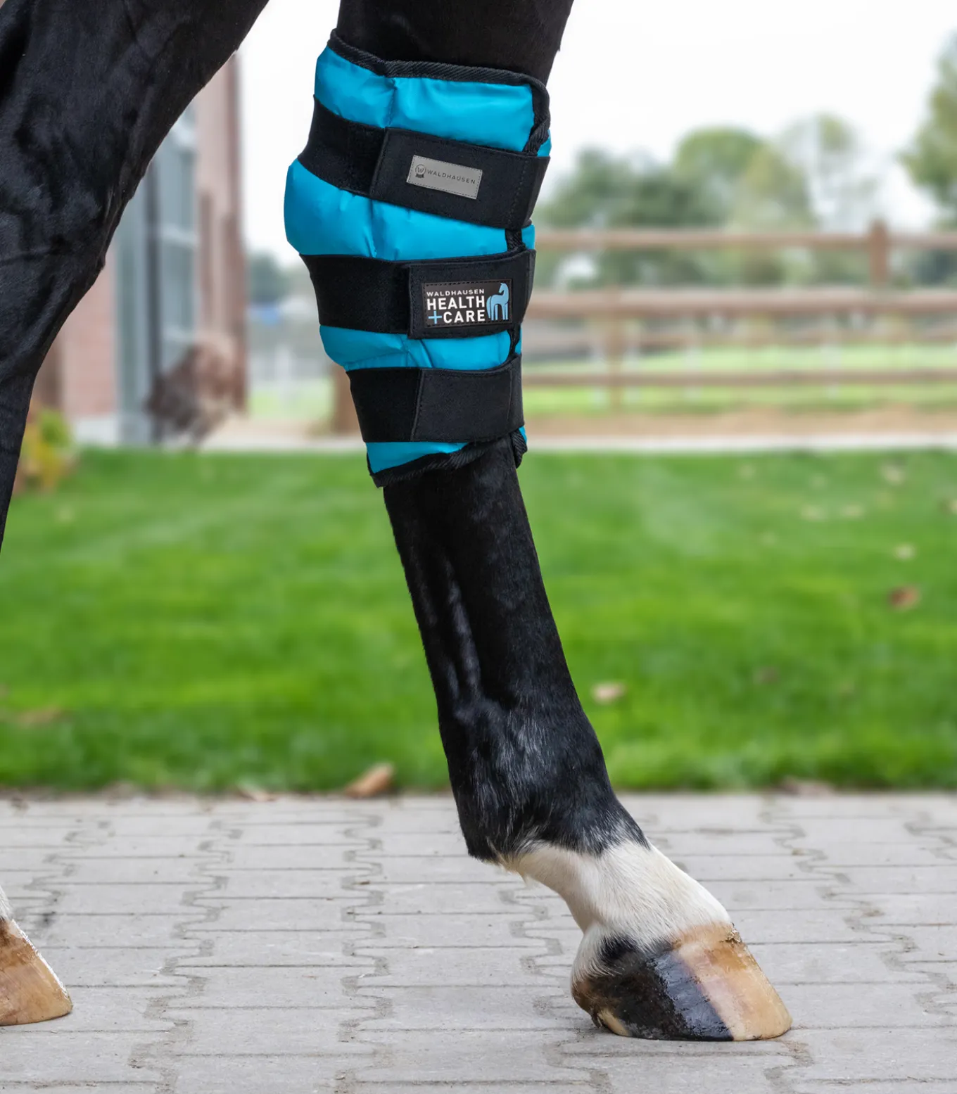 Waldhausen Health + Care Sprunggelenks Kühlgamasche Gel, Stück