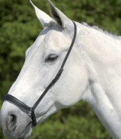 Waldhausen S-Line hann. Reithalfter