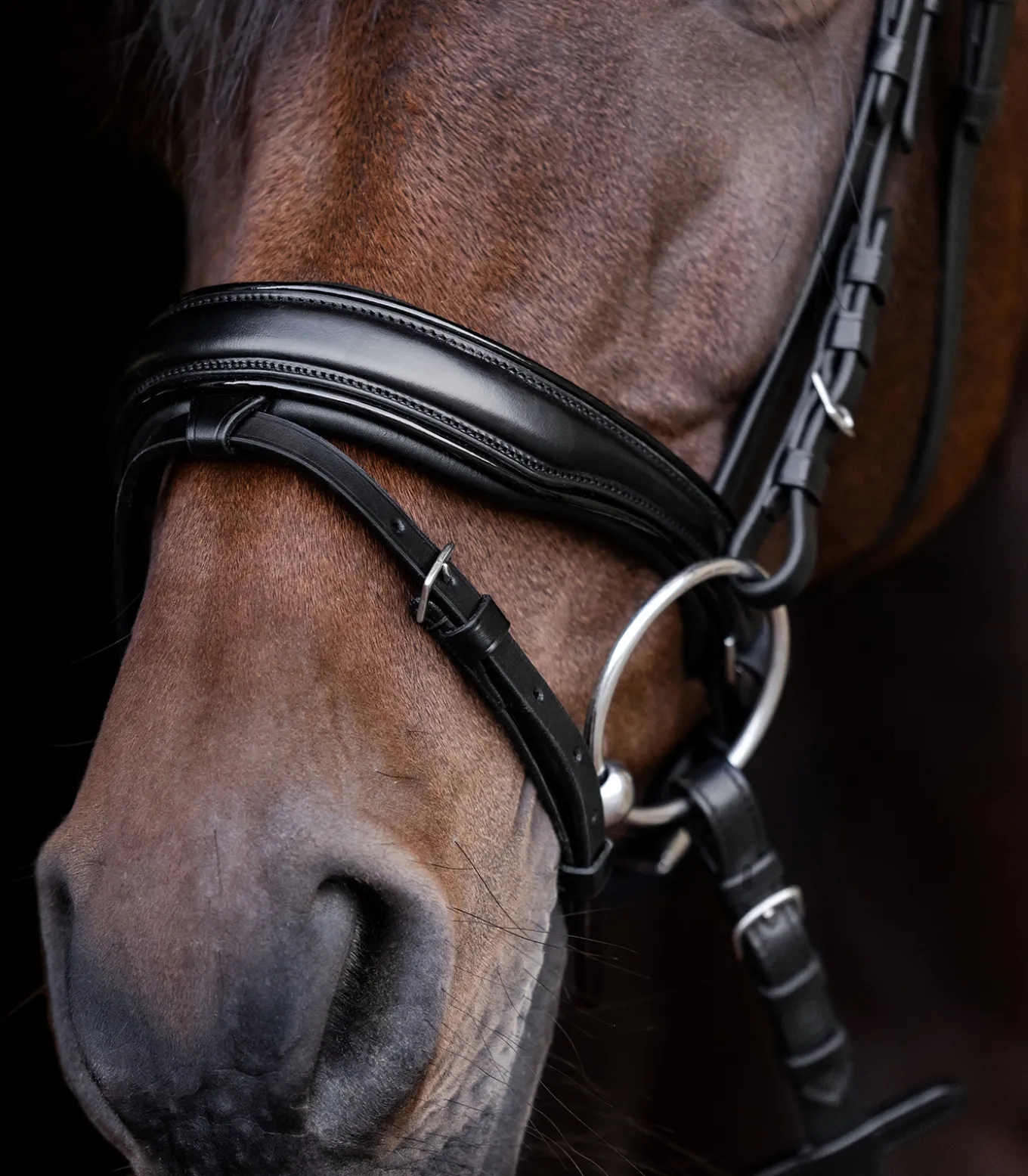 Waldhausen S-Line Lacktrensenzaum Blackshine