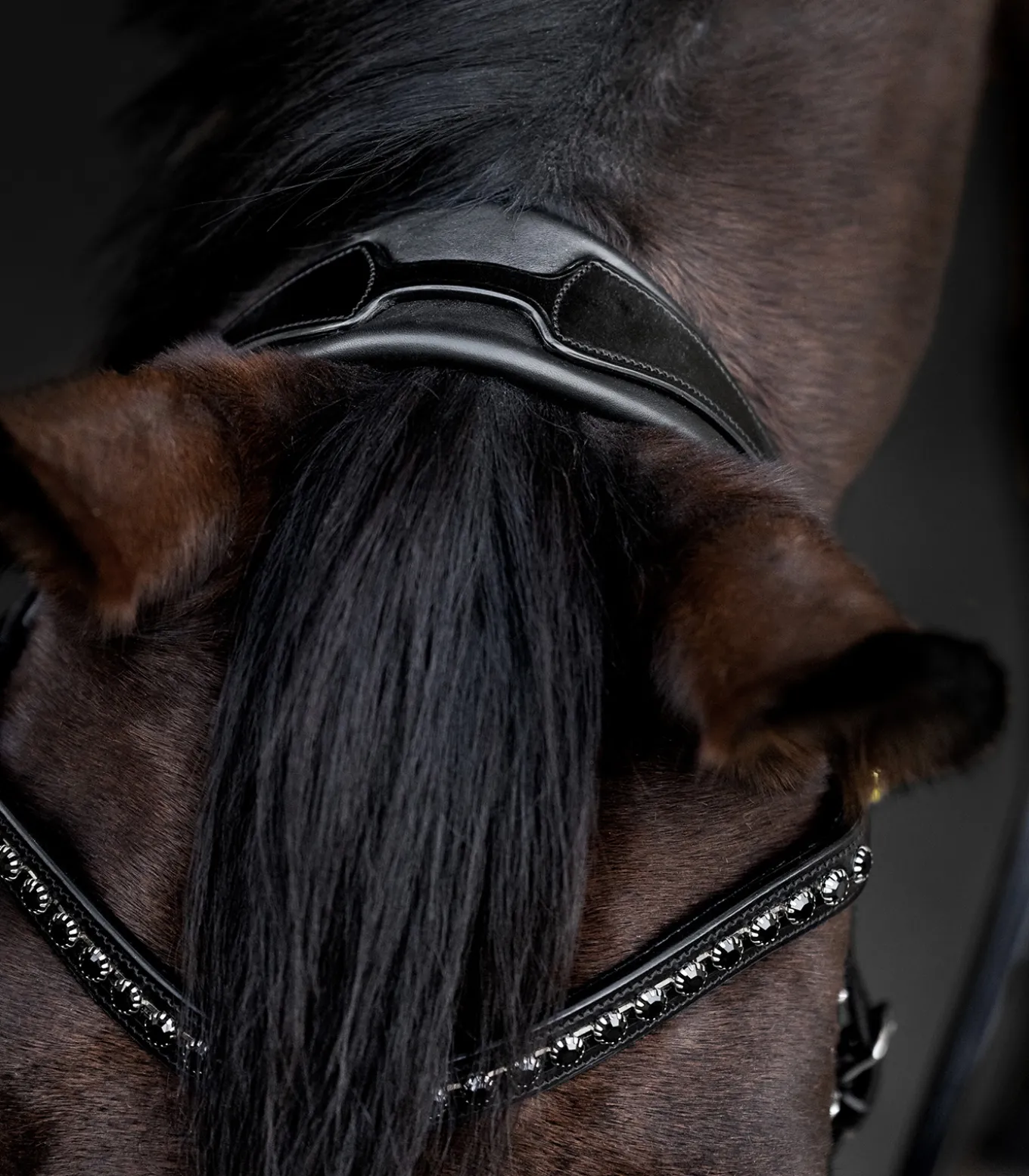 Waldhausen S-Line Lacktrensenzaum Blackshine