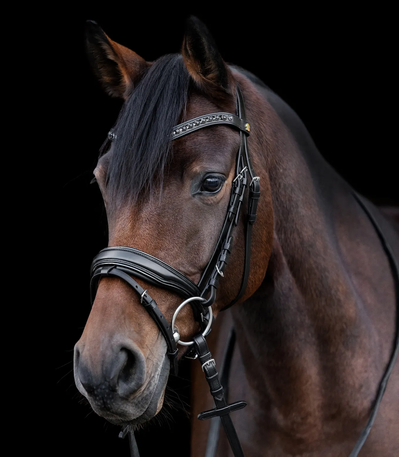 Waldhausen S-Line Lacktrensenzaum Blackshine