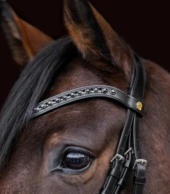 Waldhausen S-Line Lacktrensenzaum Blackshine