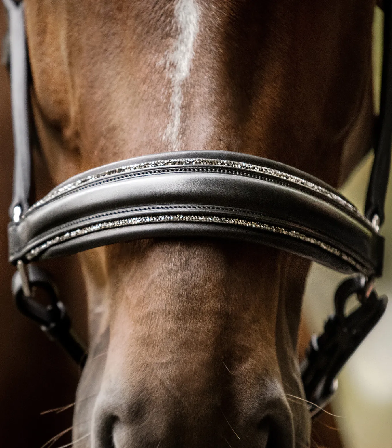 Waldhausen S-Line Lederhalfter Glamour