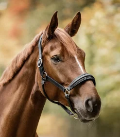 Waldhausen S-Line Lederhalfter Glamour