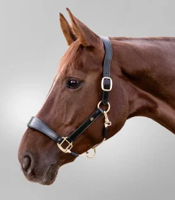 Waldhausen S-Line Lederhalfter Royal