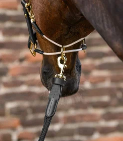 Waldhausen S-Line Lederhalfter Royal