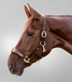 Waldhausen S-Line Lederhalfter Royal