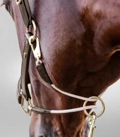 Waldhausen S-Line Lederhalfter Royal