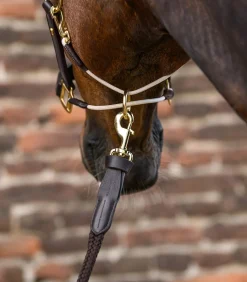 Waldhausen S-Line Lederhalfter Royal