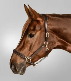 Waldhausen S-Line Lederhalfter Classy