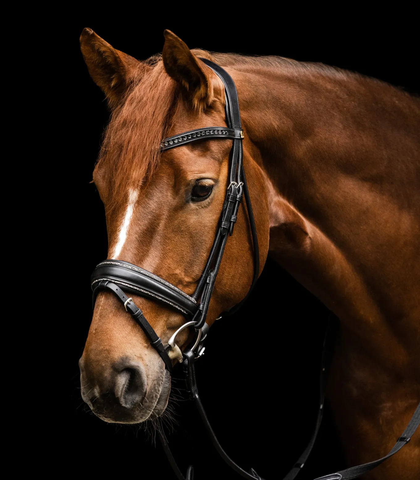 Waldhausen S-Line Trensenzaum Glamour