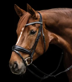 Waldhausen S-Line Trensenzaum Essential