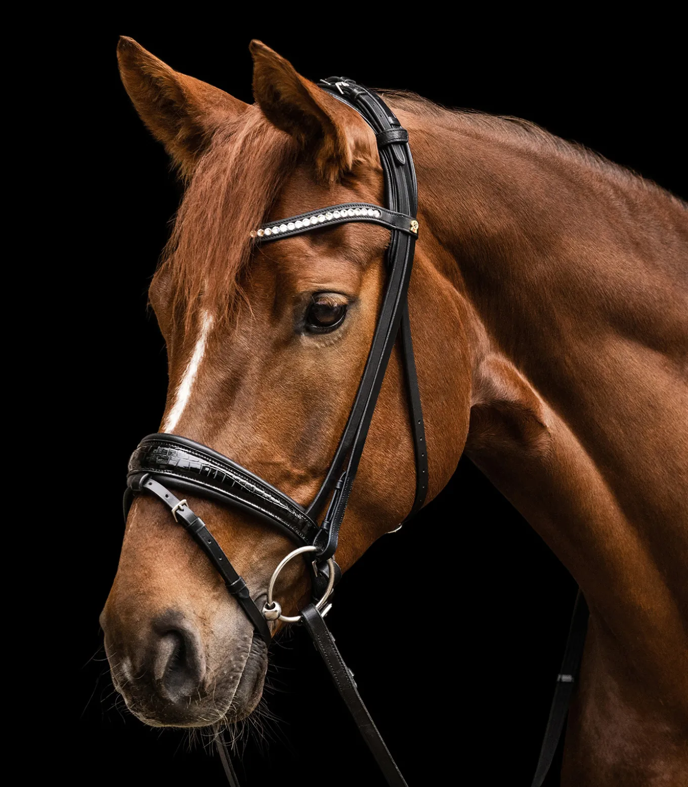 Waldhausen S-Line Trensenzaum Magic