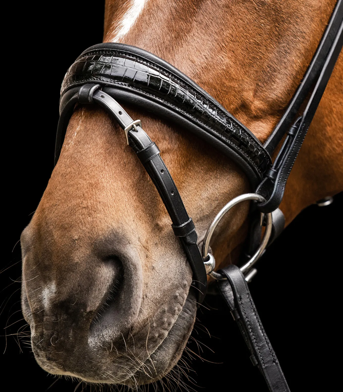 Waldhausen S-Line Trensenzaum Magic