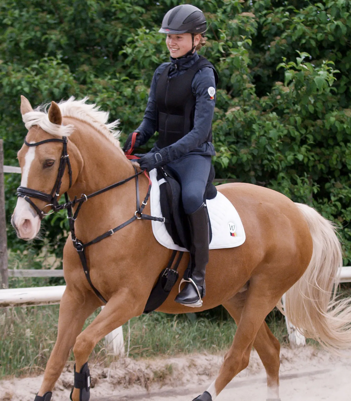Waldhausen Vorderzeug mit Sicherheitszügel Secutrust