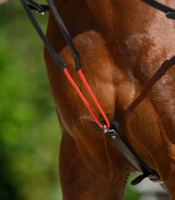 Waldhausen W-trainRein