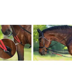 Waldhausen W-trainRein