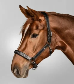 Waldhausen X-Line Lederhalfter Crystal