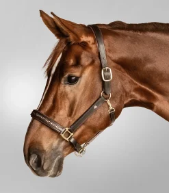 Waldhausen X-Line Lederhalfter Crystal