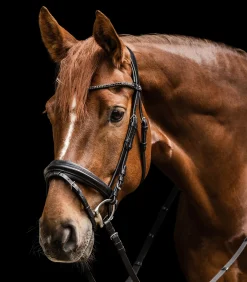 Waldhausen X-Line Trensenzaum Favourite