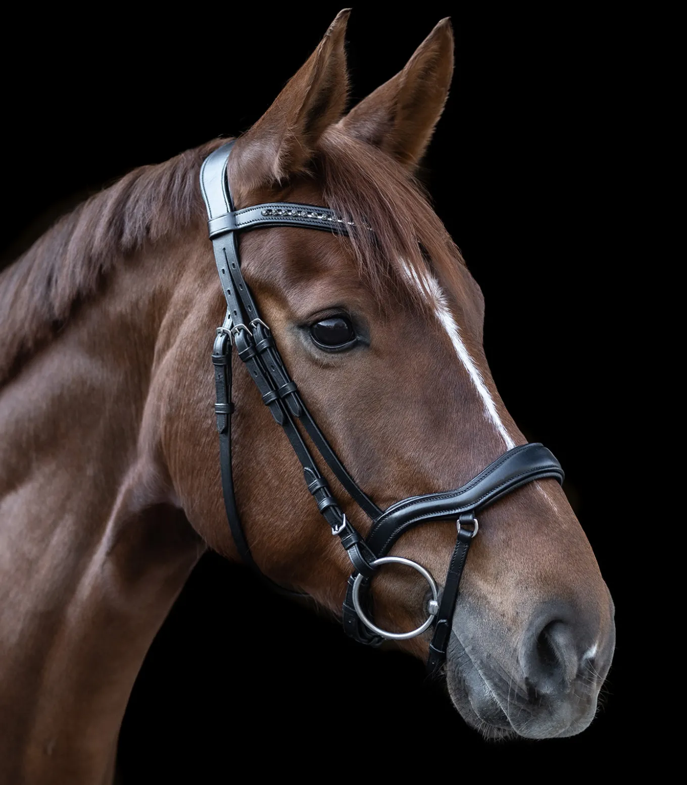 Waldhausen X-Line Trensenzaum New Shape II