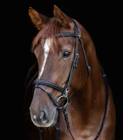 Waldhausen X-Line Trensenzaum Work