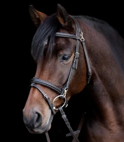 Waldhausen X-Line Trensenzaum Work