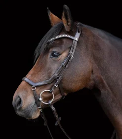 Waldhausen X-Line Trensenzaum Relaxation