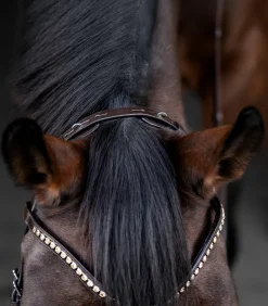 Waldhausen X-Line Trensenzaum Relaxation