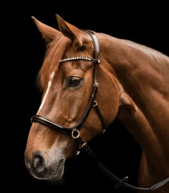 Waldhausen X-Line Zaum Gebisslos Sensation