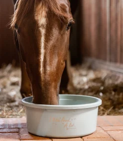 XL Futterschale mit Deckel